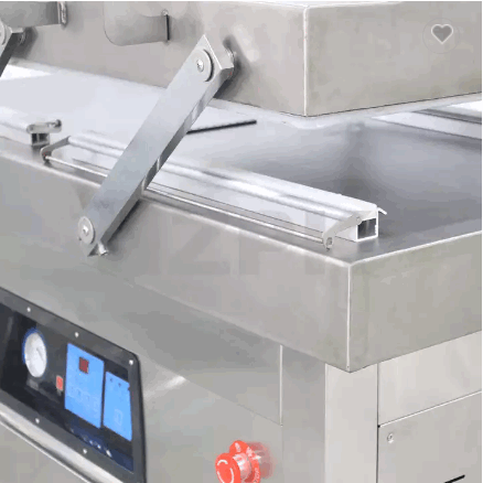 Ex-Factory Price Customized Double Chamber Vacuum Sealing Packing Machine For Seafood, Fruit, Medica / 4