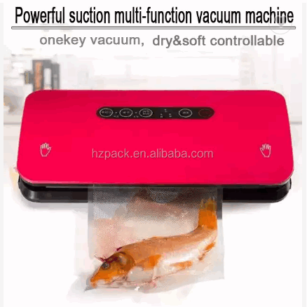 Powerful Suction Multi-function Household Vacuum Packaging Machine for Sea food/Meat/Dry Fish/Pork/B / 2