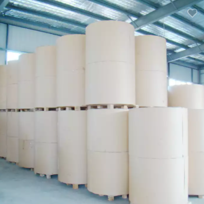 Manufacture Pe Coated Paper Roll Paper Cup Raw Material For Paper Cup with good quality / 2