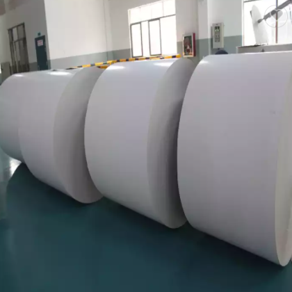 Pe coated FBB paper rolls paper raw material for paper cup / 2