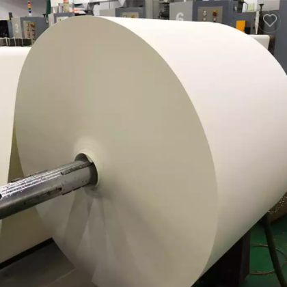 Pe coated FBB paper rolls paper raw material for paper cup / 3