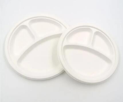 6 Inch Wedding Bagasse Dinner Plates Set Pizza Disposable Round Plate / 2