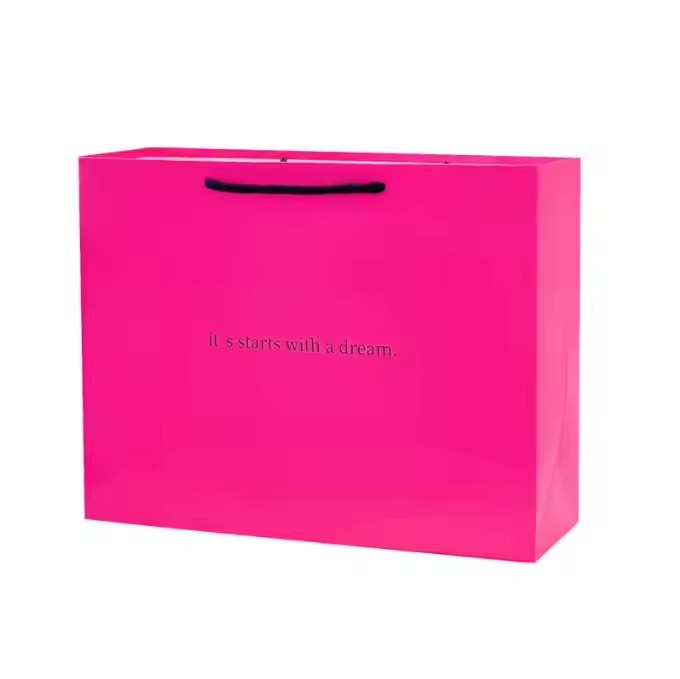 Customize your own logo gift bag designer luxury shopping bag retail hard cardboard paper bag packag / 3